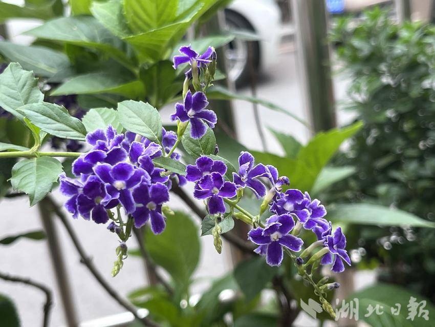 手机赌场官方软件
